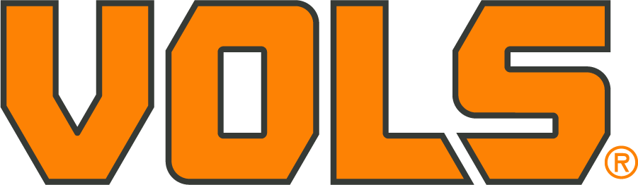 Tennessee Volunteers 2015-Pres Wordmark Logo v2 diy iron on heat transfer